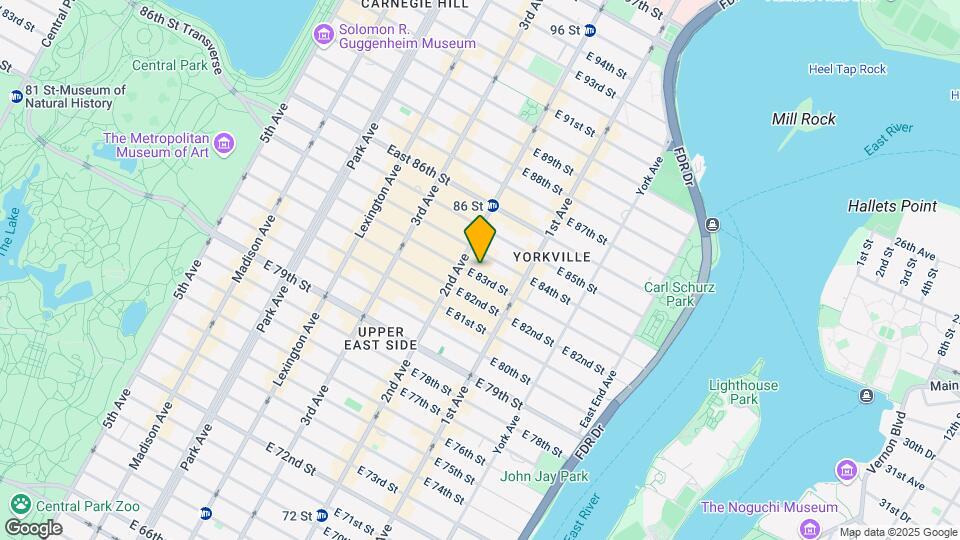 309 E 83rd St Mapa y Detalles de la Ubicación