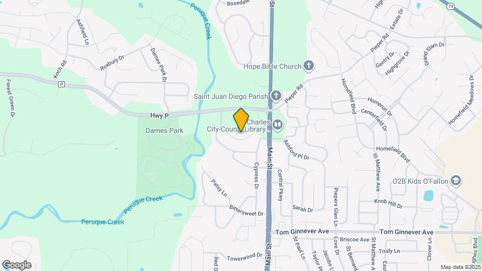 229 Old Schaeffer Ln Map and Location Details