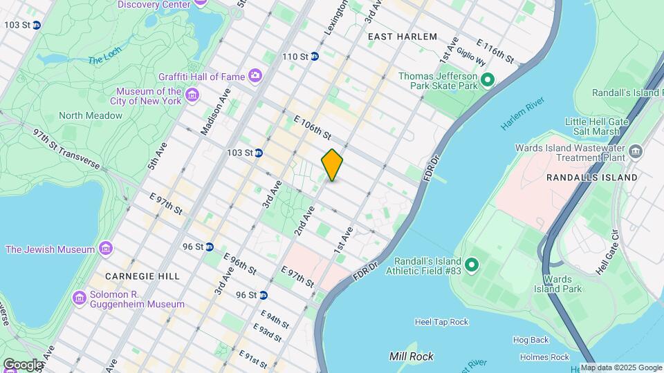 301 E 103rd St Mapa y Detalles de la Ubicación