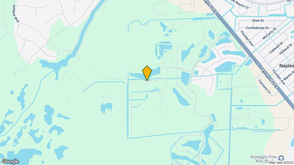 9521 Avellino Wy Map and Location Details