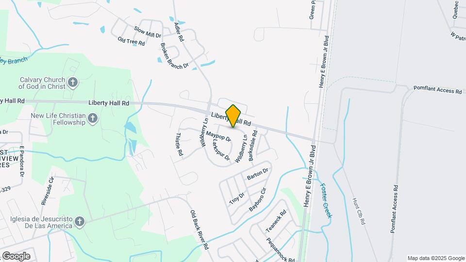 177 Wildberry Ln Map and Location Details