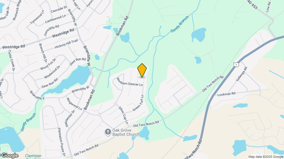 1339 Green Turf Ln Mapa y Detalles de la Ubicación