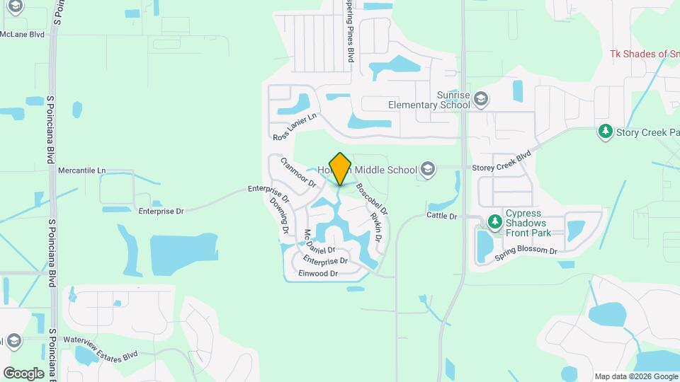 317 Cartee Ln Mapa y Detalles de la Ubicación