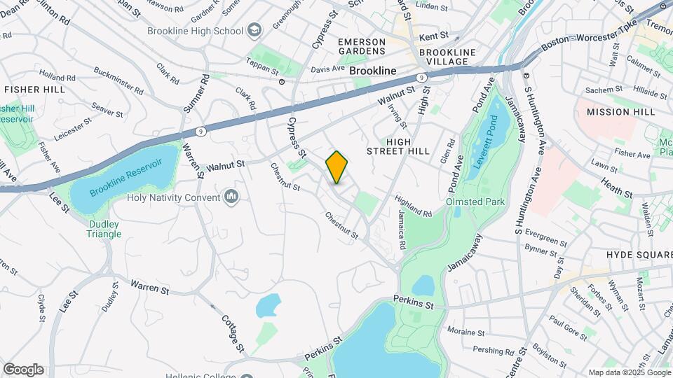 254 Cypress St Mapa y Detalles de la Ubicación