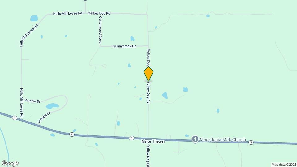1111 Yellow Dog Rd Map and Location Details