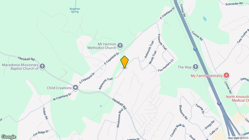 8524 Rayworth Trail Map and Location Details