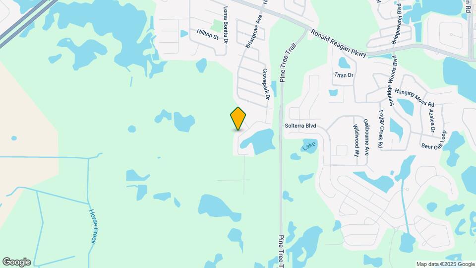 205 Thornbush Pkwy Map and Location Details