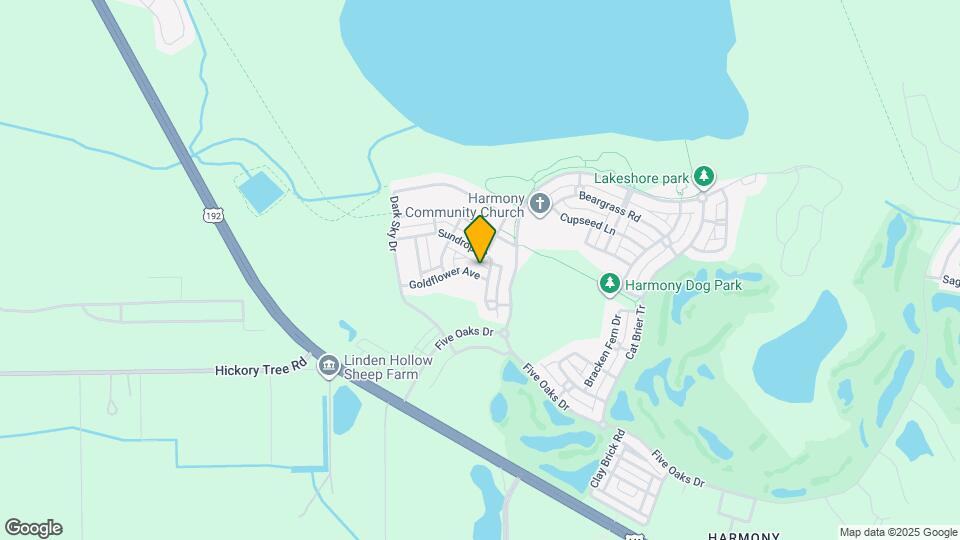 6841 Goldflower Ave Mapa y Detalles de la Ubicación