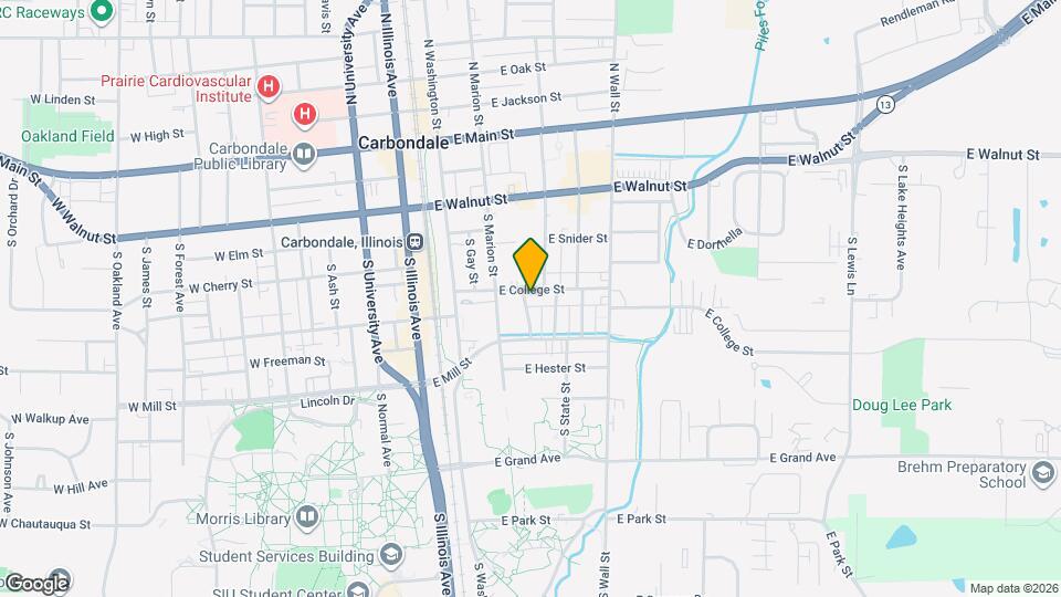 313 E College St Map and Location Details