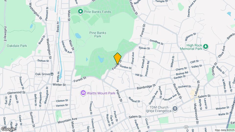 233 Forest St Map and Location Details