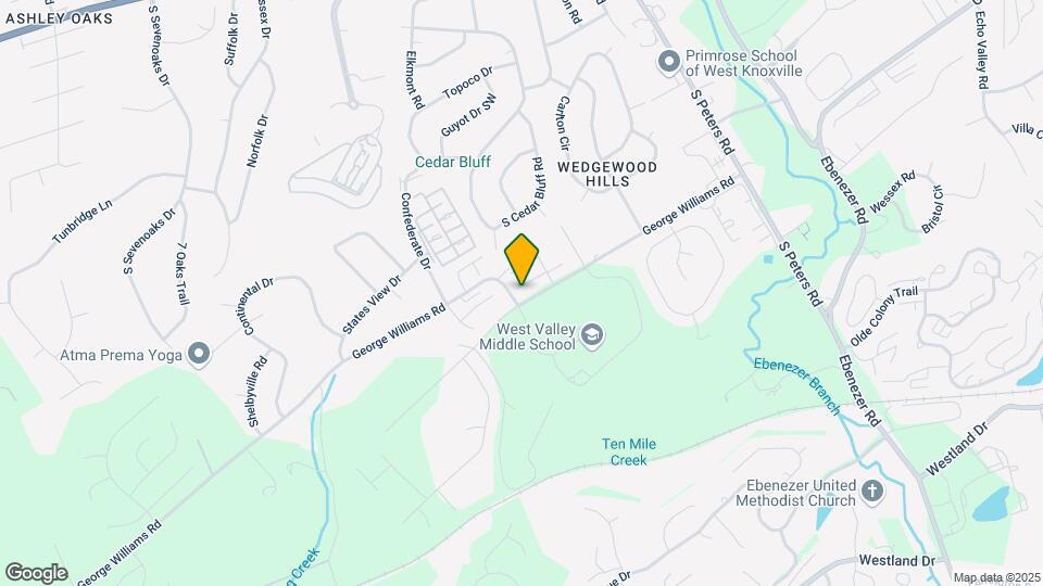 461 Bramblewood Ln Map and Location Details