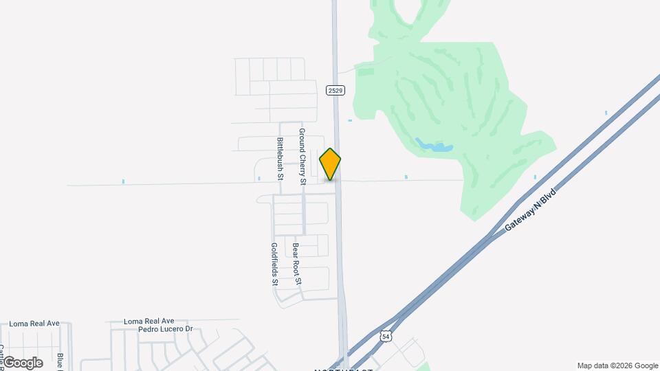 11102 Blazing Star Pl Map and Location Details