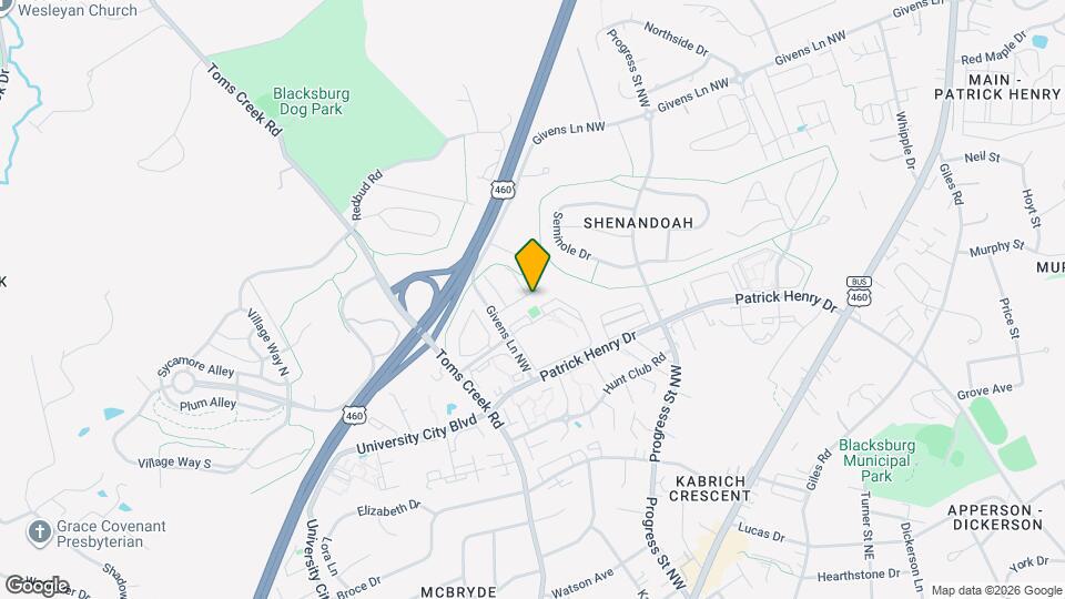 411 Laurence Ln Mapa y Detalles de la Ubicación