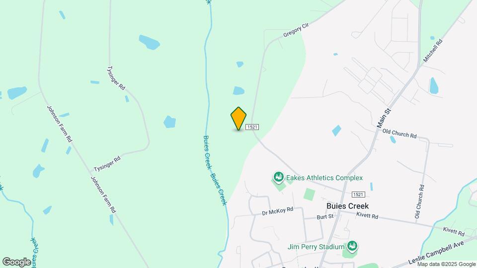 81 Camel Crazies Pl Map and Location Details