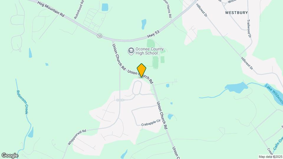 1564 Cold Tree Ln Map and Location Details