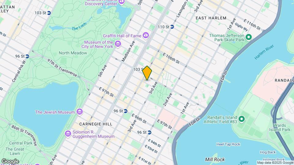 169-175 E 101st St Mapa y Detalles de la Ubicación