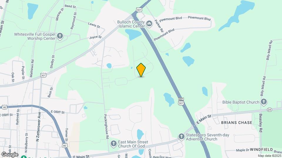 228 Willis Wy Map and Location Details