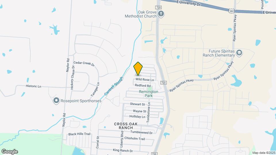 8919 Wild Rose Ln Mapa y Detalles de la Ubicación