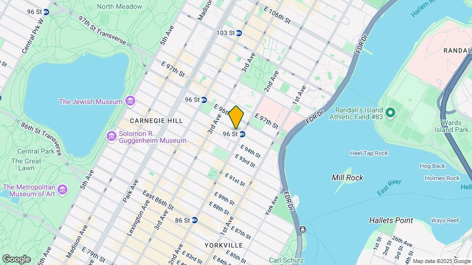 236e E 95th St Mapa y Detalles de la Ubicación