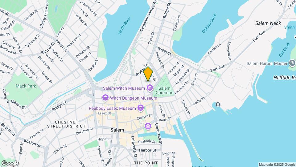 8 Williams St Map and Location Details