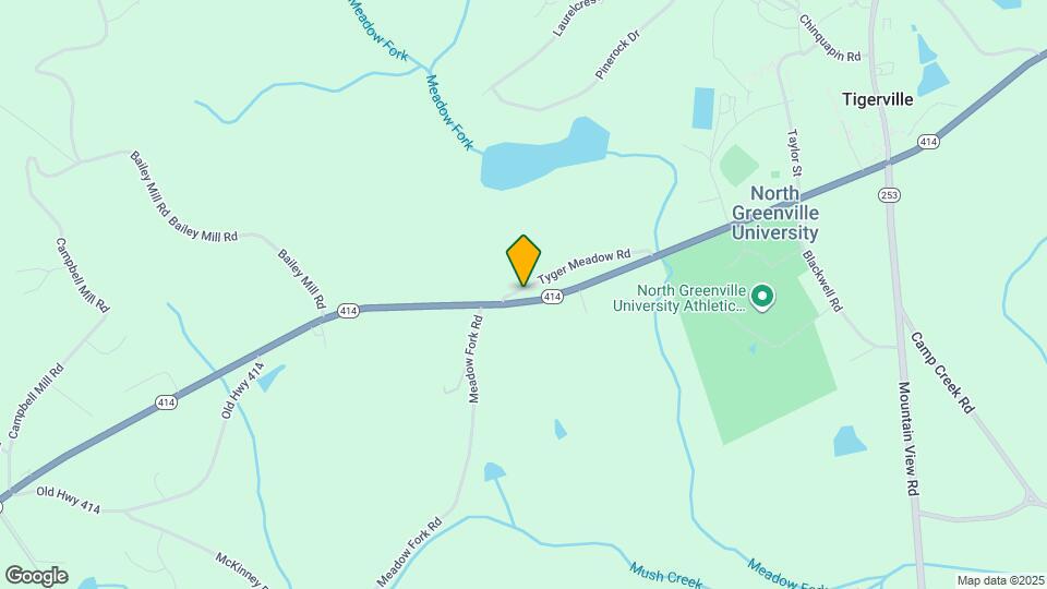 100 Tyger Meadow Rd Map and Location Details