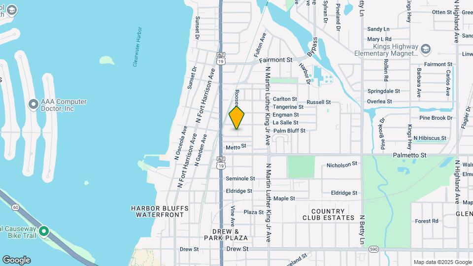 808 Palm Bluff St Mapa y Detalles de la Ubicación