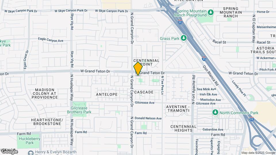 9553 Michelle Falls Ave Map and Location Details