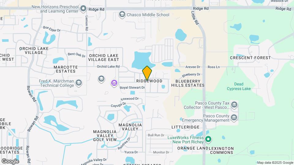 7832 Osteen Rd Map and Location Details