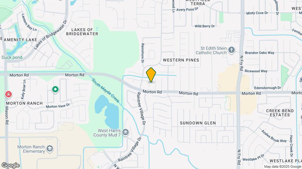 3118 Rainmont Ln Map and Location Details