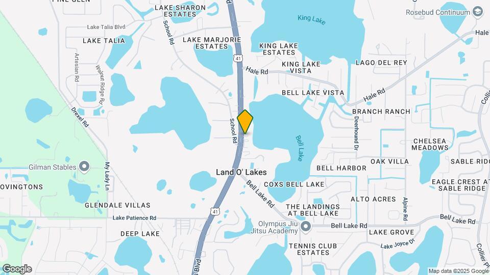 4408 Land O Lakes Blvd Map and Location Details