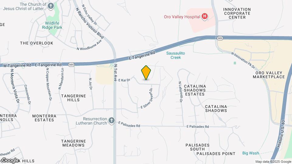 1009 E Silver Ray Dr Mapa y Detalles de la Ubicación