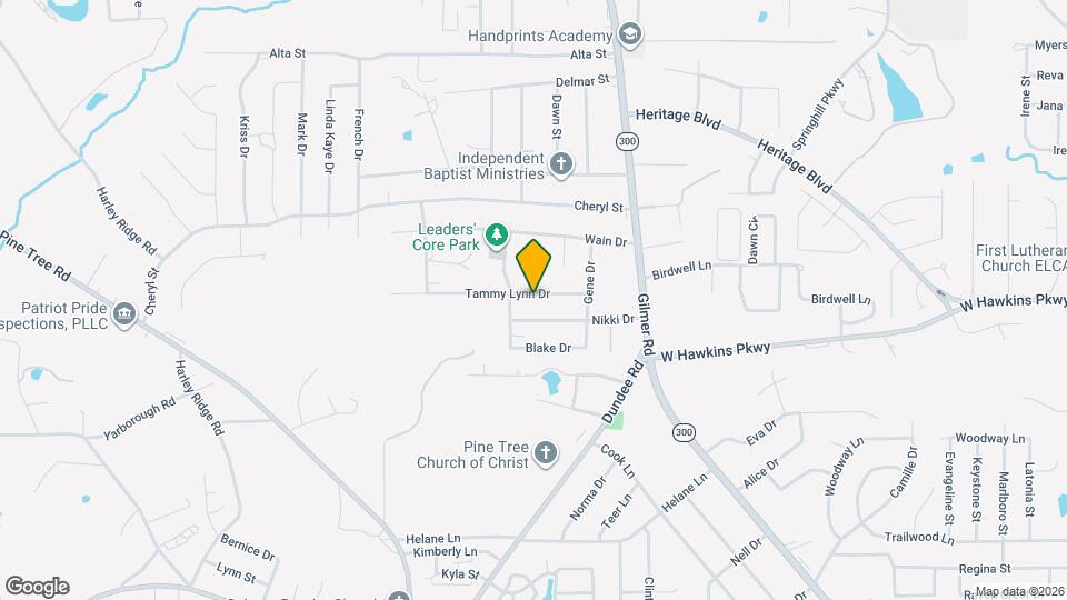 314 Tammy Lynn Dr Mapa y Detalles de la Ubicación