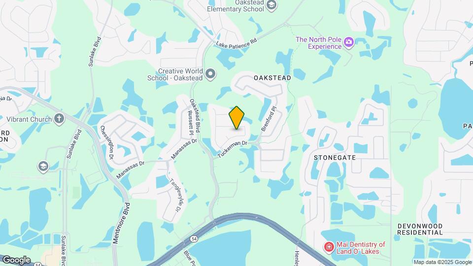 19631 Bellehurst Loop Mapa y Detalles de la Ubicación