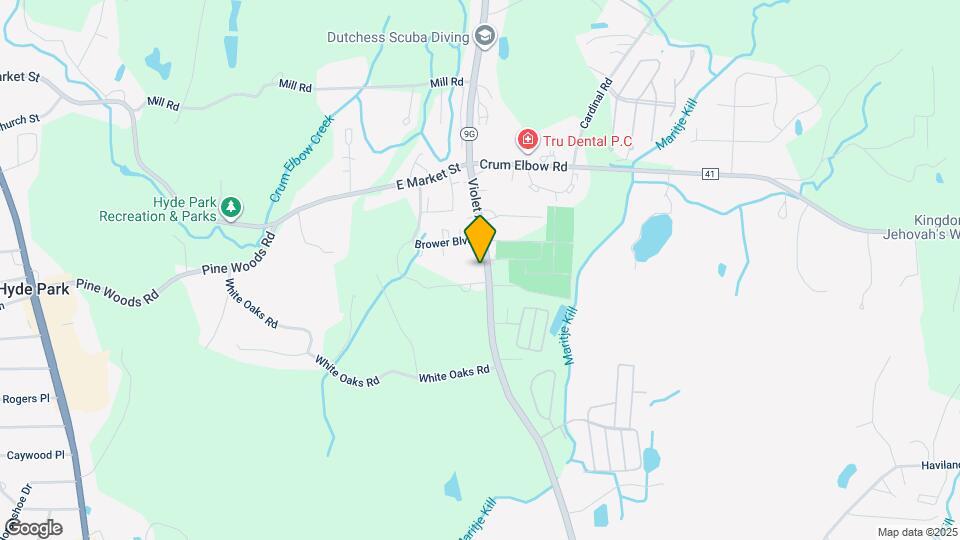 1063 Violet Ave Map and Location Details