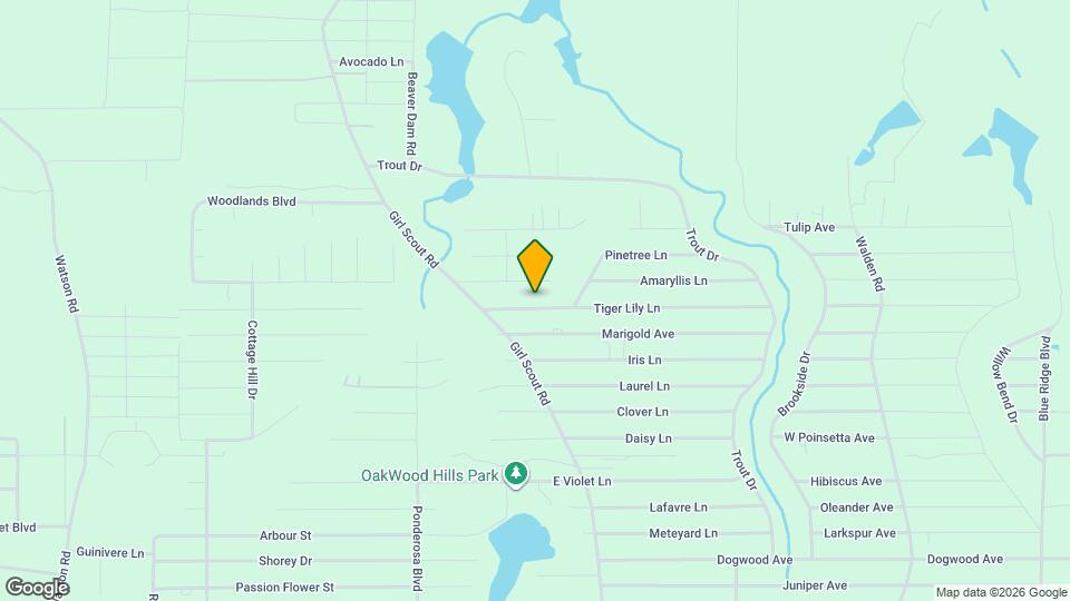 115 Tiger Lily Ln Mapa y Detalles de la Ubicación