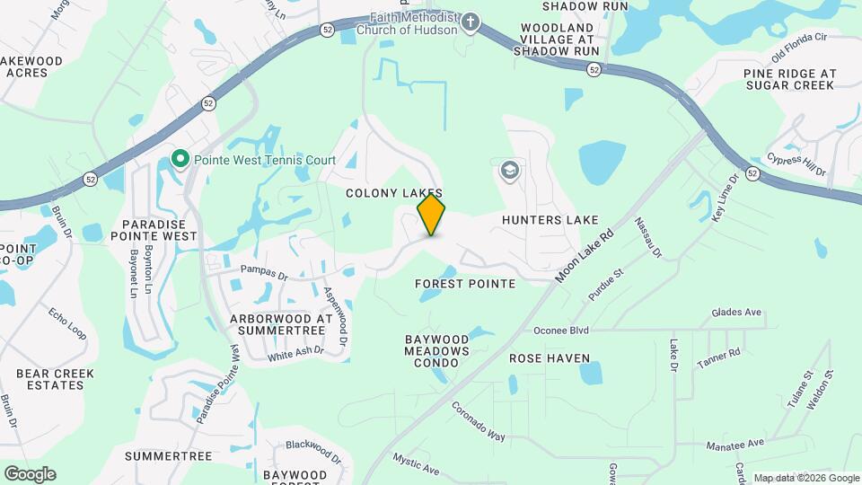 11856 Colony Lakes Blvd Mapa y Detalles de la Ubicación