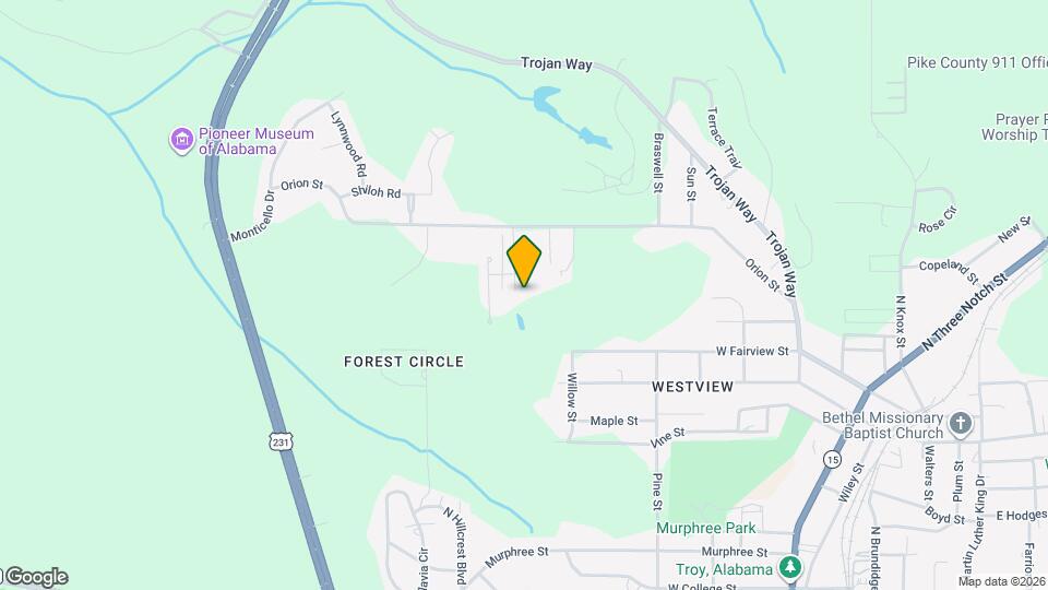 208 Martha George Hall Dr Map and Location Details