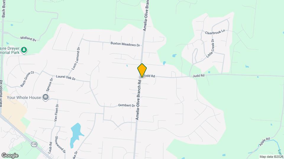 250 Amelia-Olive Branch Rd Mapa y Detalles de la Ubicación