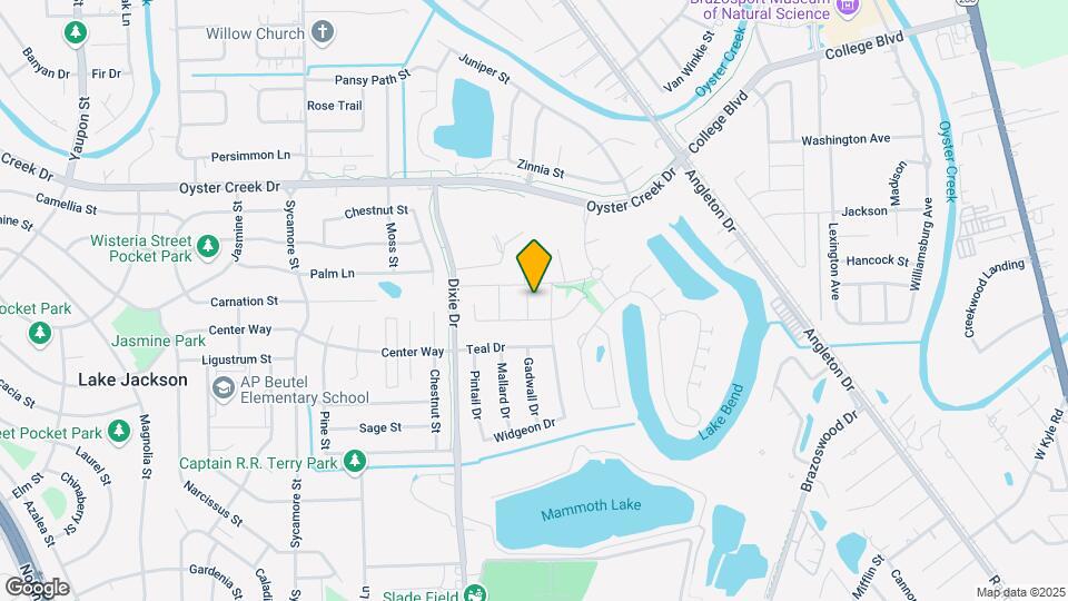 107 Long Meadow Ct Map and Location Details