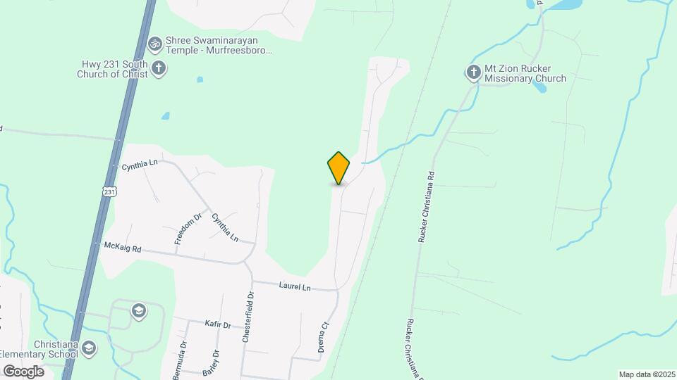 313 Drema Ct Mapa y Detalles de la Ubicación