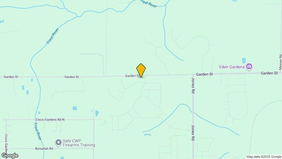 9817 Lemon Grass Ln Mapa y Detalles de la Ubicación