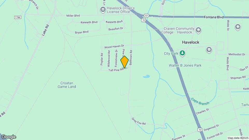 303 Tall Pine Rd Map and Location Details