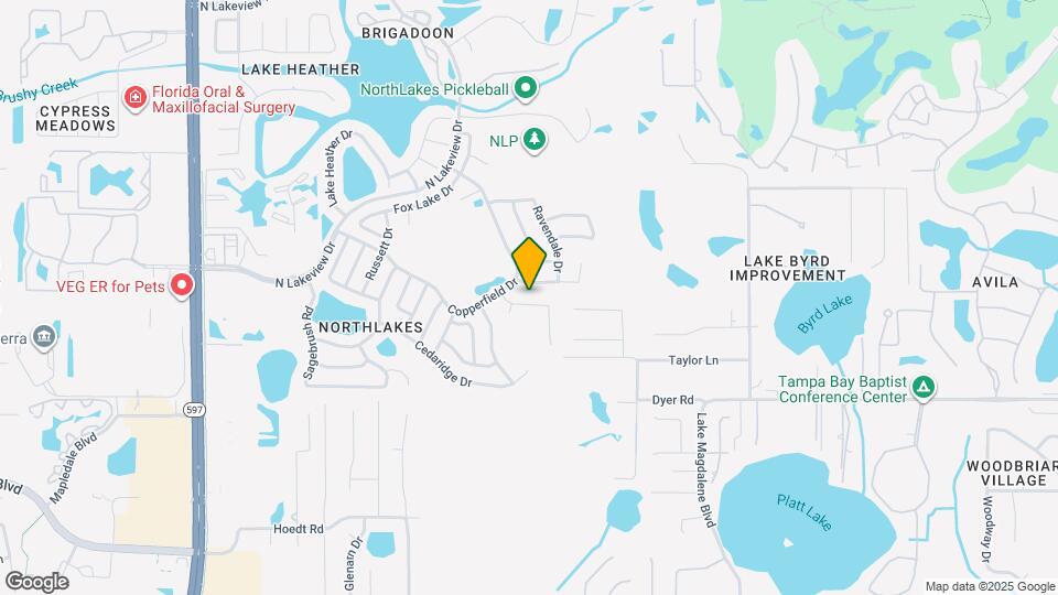 16039 Grass Lake Dr Mapa y Detalles de la Ubicación