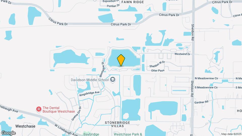 9602 Lake Chase Island Way Map and Location Details