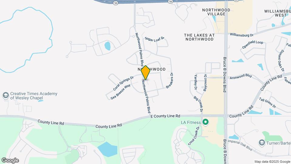 1253 Salt Clay Ct Map and Location Details