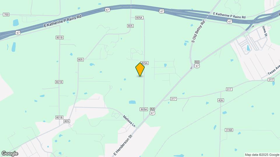 313 County Rd 805A Map and Location Details