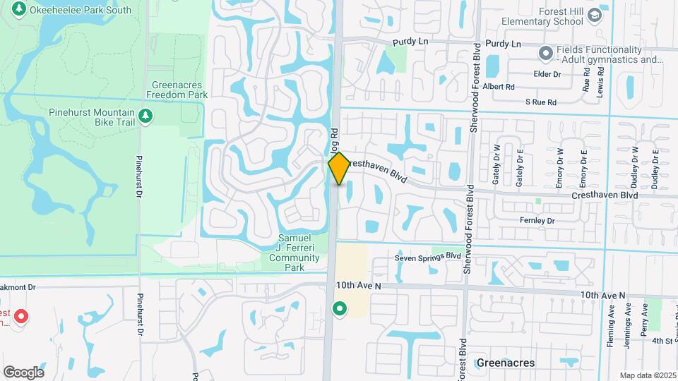 723 Sunny Pine Way Map and Location Details