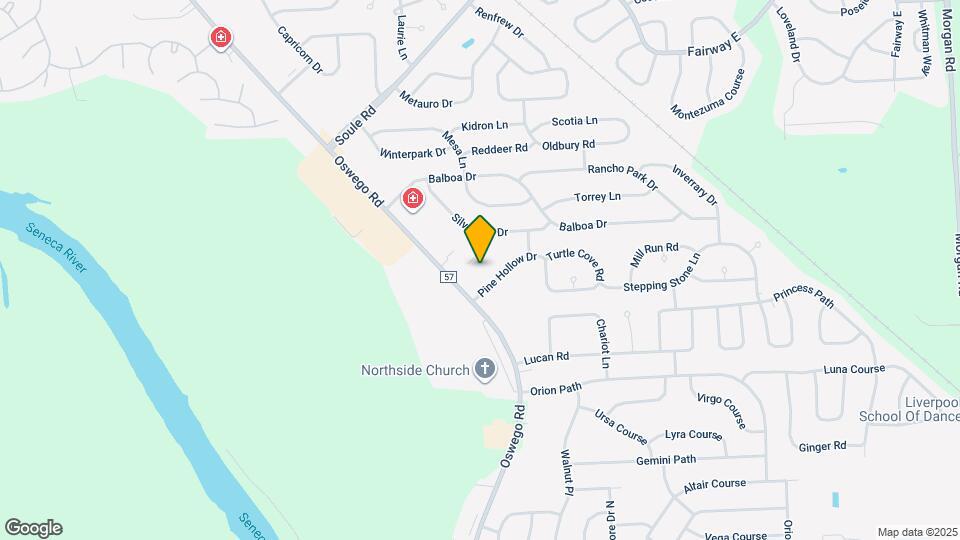 4109 Pine Hollow Dr Mapa y Detalles de la Ubicación