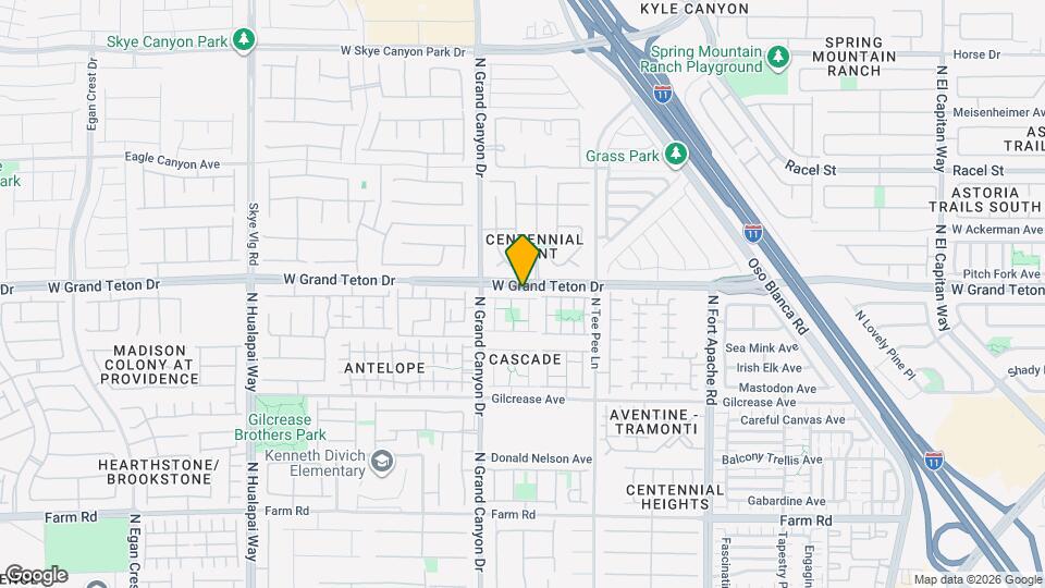 9526 Michelle Falls Ave Map and Location Details