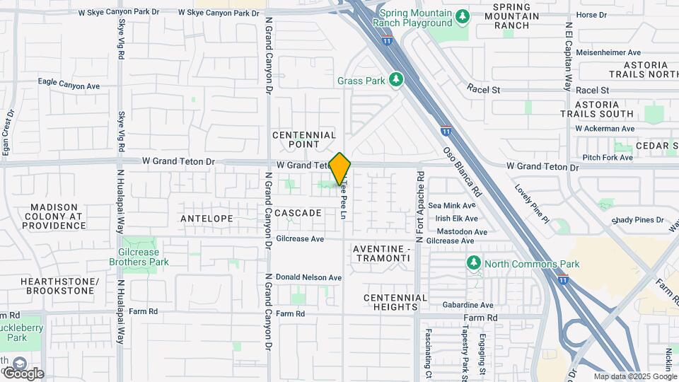 7912 Ivy Run St Map and Location Details